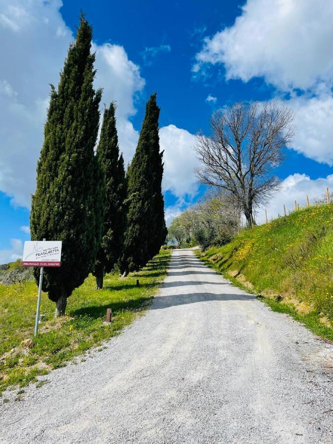 Agriturismo Fraschetta Montalcino Exteriér fotografie