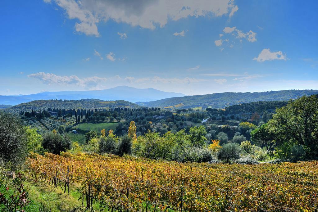 Agriturismo Fraschetta Montalcino Exteriér fotografie
