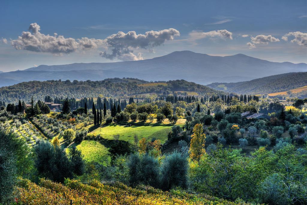 Agriturismo Fraschetta Montalcino Exteriér fotografie
