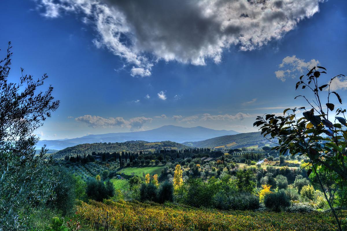 Agriturismo Fraschetta Montalcino Exteriér fotografie